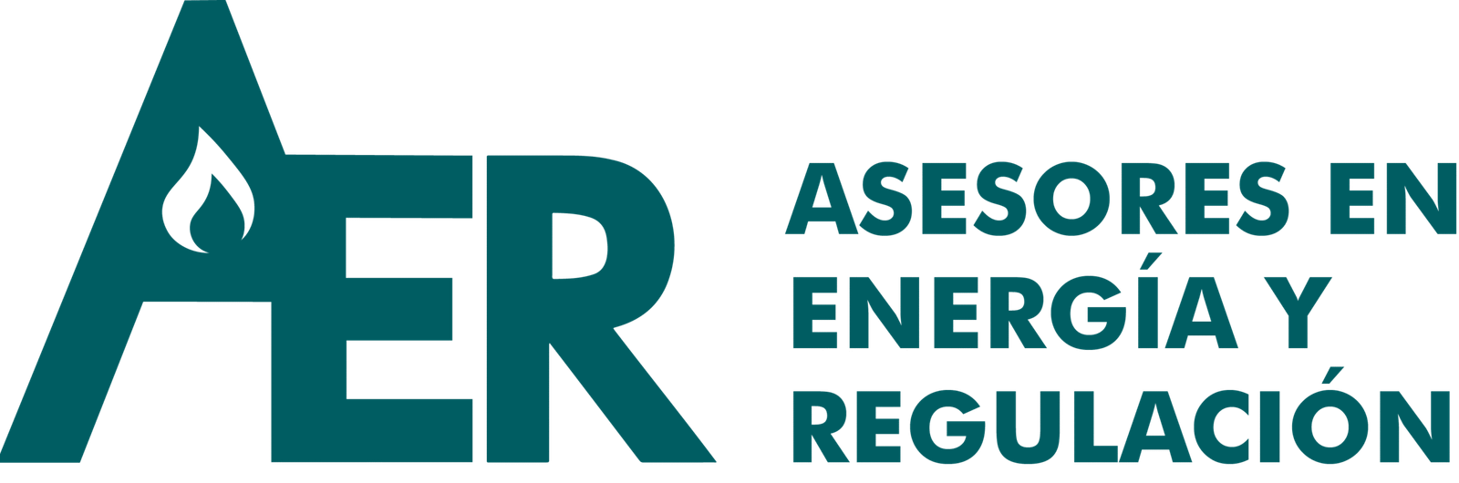 aerconsultora.com